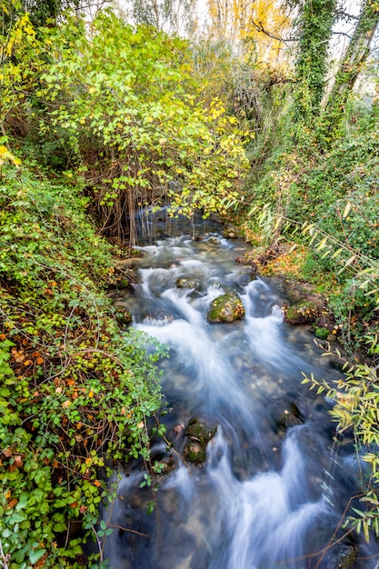 Rio Majaceite, El Bosque, Cádiz, Espanha