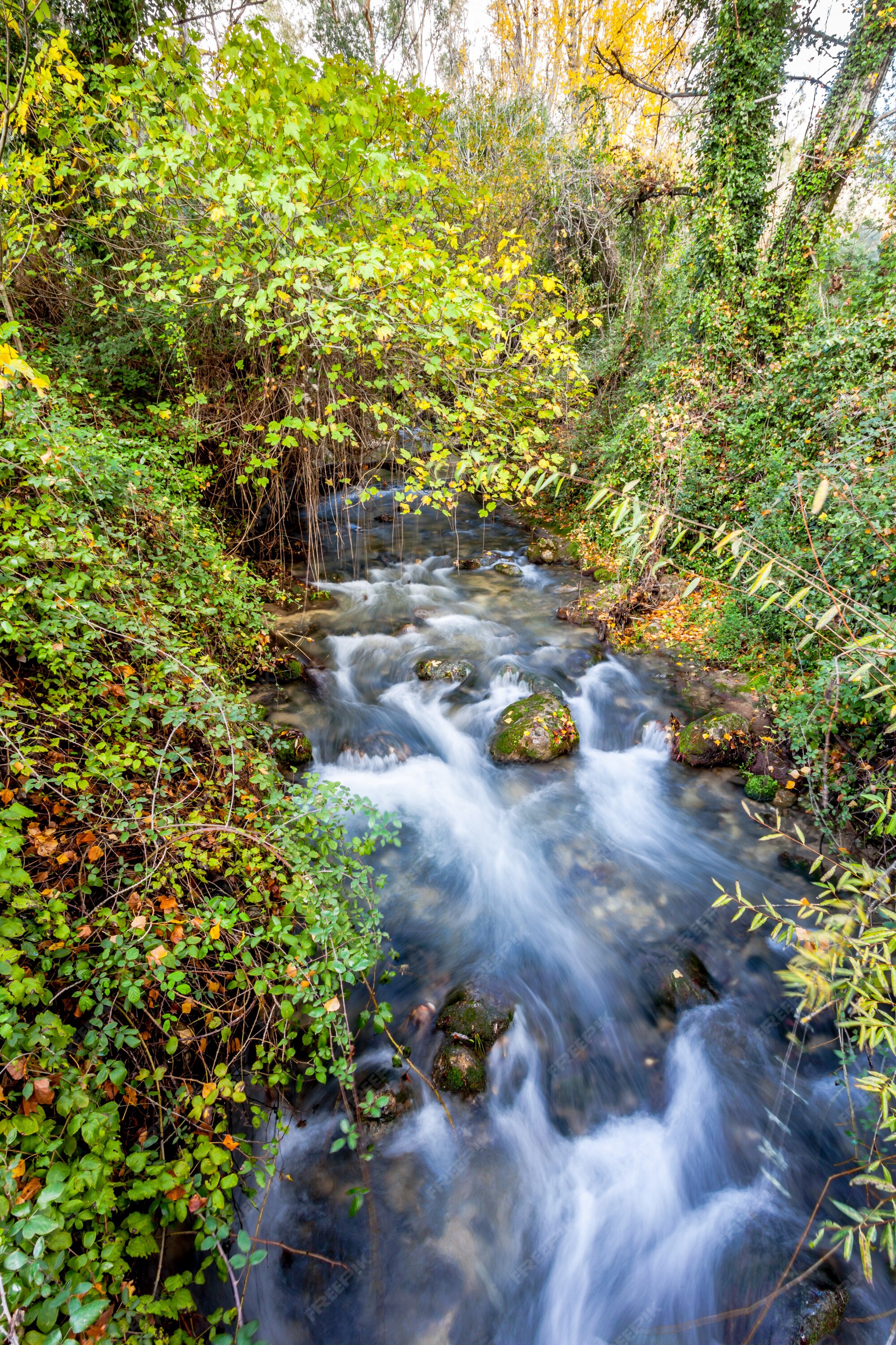 Rio majaceite, el bosque, cádiz, espanha