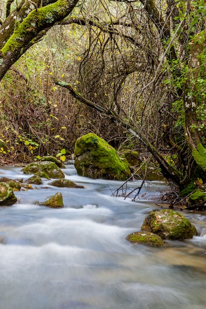 Río Majaceite