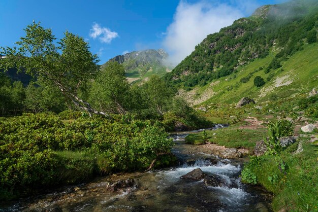 El río Malaya Dukka en el Cáucaso del Norte en un soleado día de verano Arkhyz KarachayCherkessia Rusia