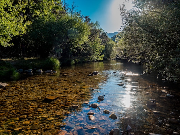 El río Manzanares. A lo largo de su curso por La Pedriza, en el Parque Nacional Sierra de Guadarrama, Madrid, España.