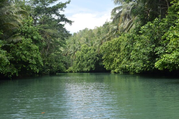 Rio marrom em Pacitan, Indonésia