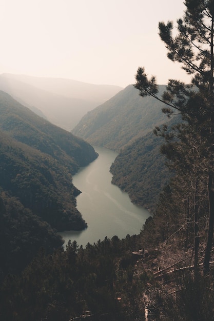 Un río masivo en el medio del bosque durante un día de primavera con el concepto de libertad del espacio de copia