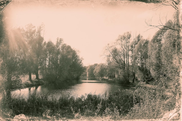 Foto el río en medio de los árboles contra el cielo