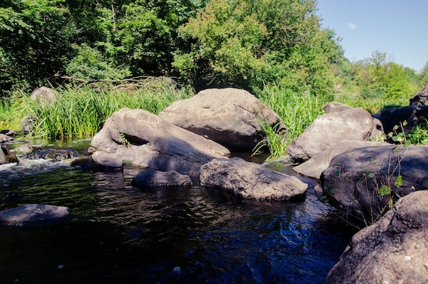 Foto un río en medio de un hermoso cañón