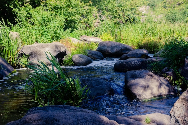 Foto un río en medio de un hermoso cañón