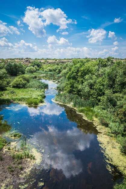 Río Mertvovod en un día soleado de verano