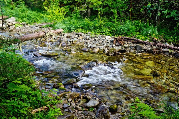 río montaña 4