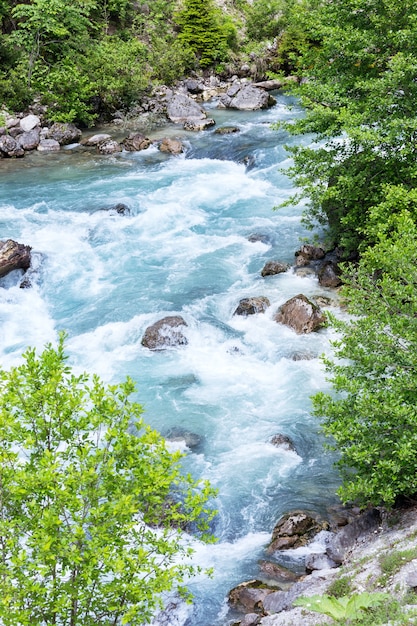 Río de montaña en el bosque. Abjasia