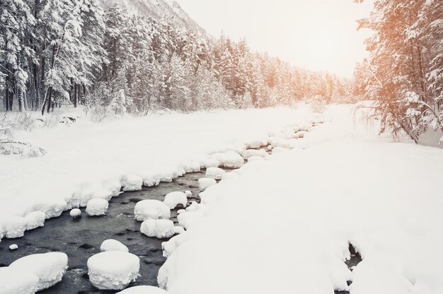 Río de montaña y bosque después de nevadas. Hermoso paisaje de invierno. Filtro vintage