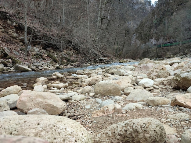 río de montaña en el bosque. Paisaje de montaña en primavera.