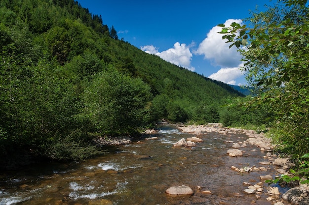 Río de montaña en los Cárpatos al pie de la montaña contra el fondo del cielo y las nubes paisaje de verano