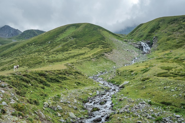 Río de montaña Chilik centro turístico de Arkhyz