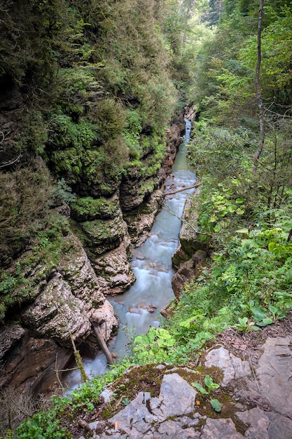 Río de montaña en el desfiladero de Guam República de Adygea Rusia