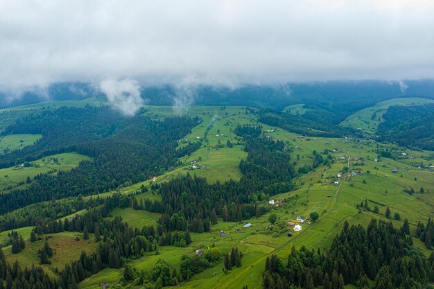 Río de montaña flotando a través del bosque verde en los alpes suiza