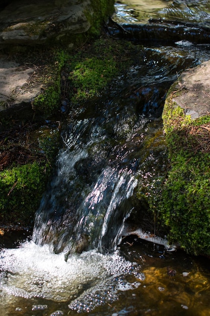 Un río de montaña fluye por las rocas Naturaleza respetuosa con el medio ambiente