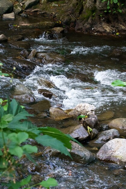 Río de montaña fluye sobre rocas