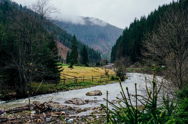 Río de montaña con hierba piedras árboles nubes grises con basura