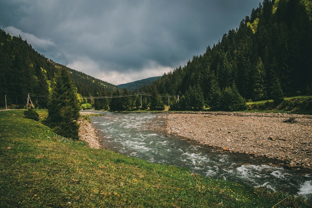 Río de montaña con hierba piedras árboles nubes grises