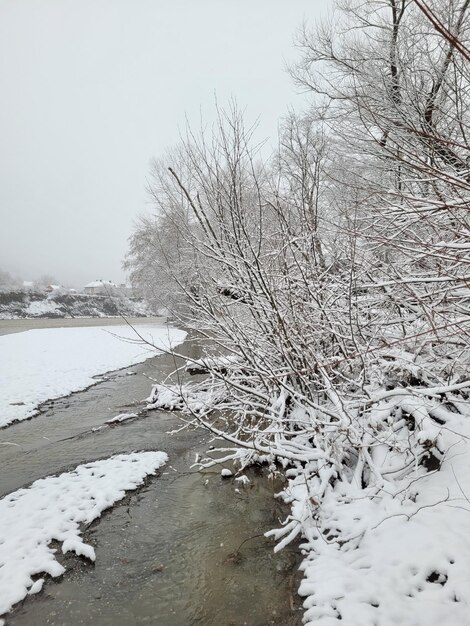 río de montaña en invierno en la nieve