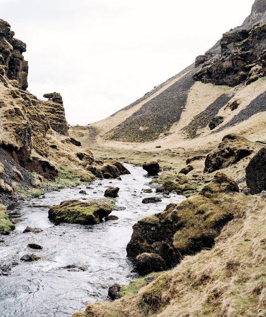 El río de montaña en islandia desemboca en el desfiladero entre las piedras