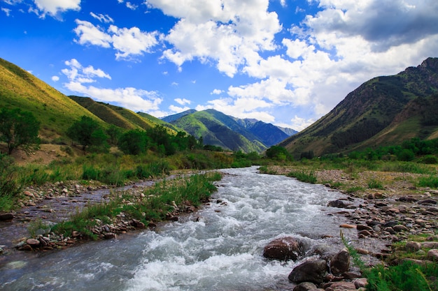 Foto río de montaña entre montañas verdes