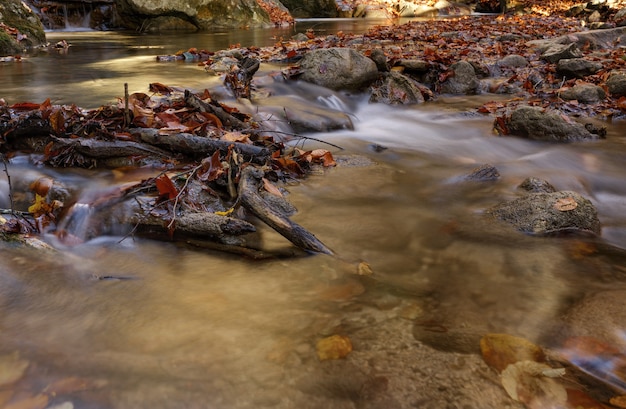 Río de montaña en otoño