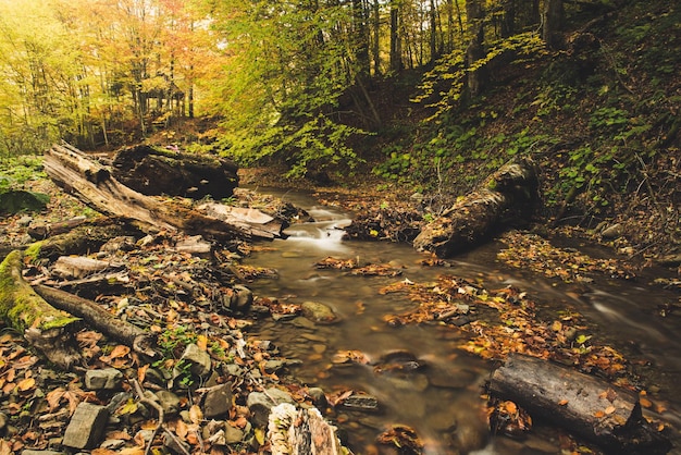 Río de montaña de otoño