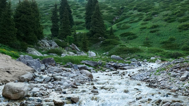 Foto río de montaña entre piedras y rocas