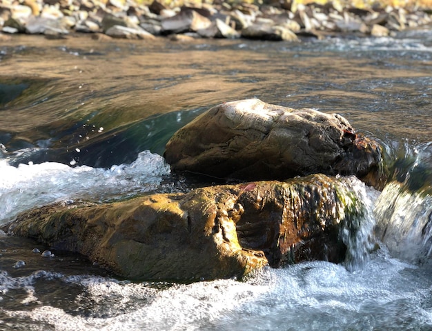 Río de montaña con piedras Ucrania