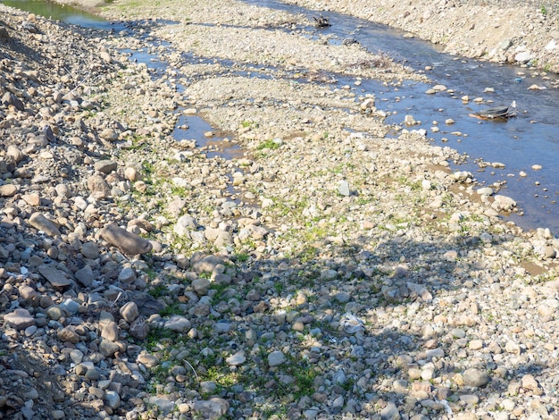 Río de montaña poco profundo Muchas piedras Fondo de piedras Sequía