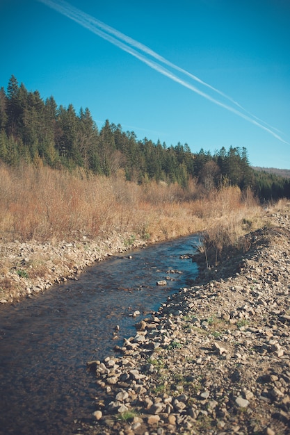 Foto río de montaña en el prado