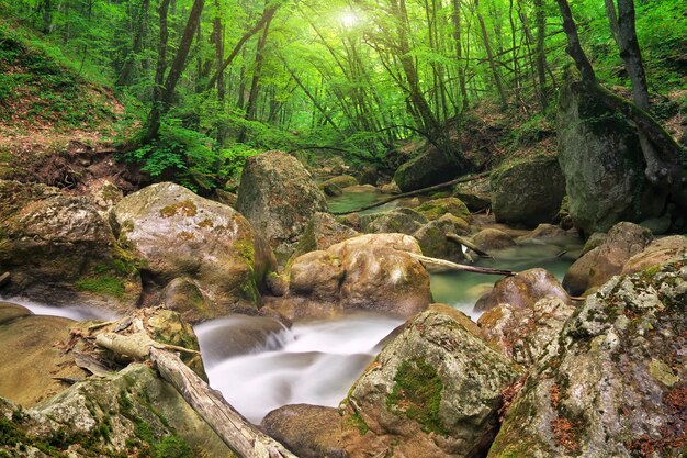 Río de montaña en primavera. Un chorro de agua en bosques y terrenos montañosos.