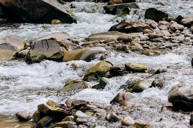 El río de montaña Prut y cascadas Probiy en Yaremche Cárpatos Ucrania