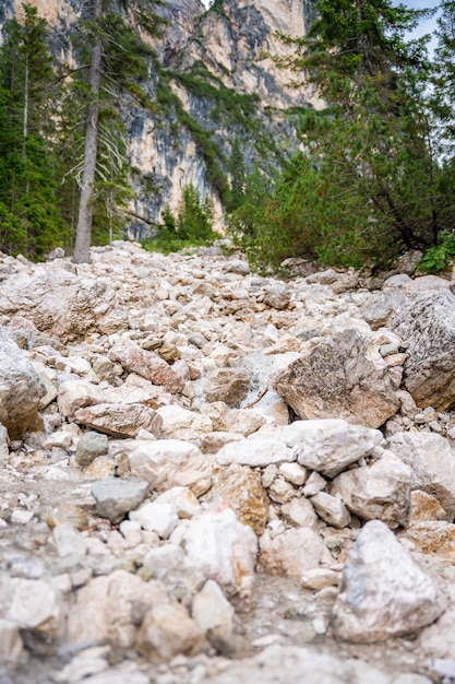 Río de montaña que desemboca en el lago Braies rodeado de bosques de pinos y las cordilleras rocosas del