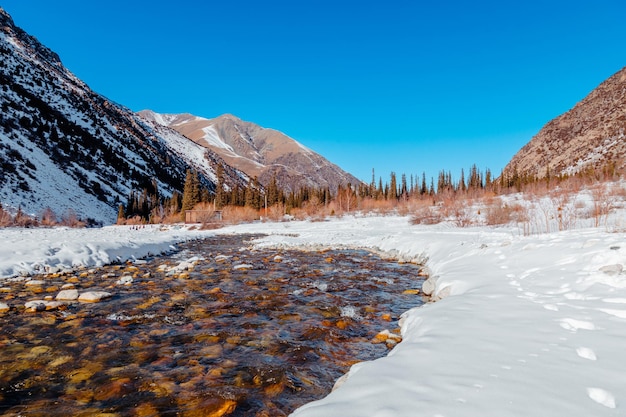 Foto río de montaña que fluye en invierno