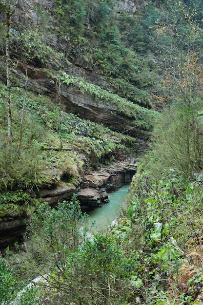 Un río de montaña que fluye entre las montañas Guam Gorge