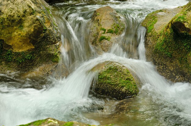 Río de montaña que fluye rápido corriente de agua en las rocas con musgo