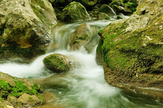 Río de montaña que fluye rápido corriente de agua en las rocas con musgo