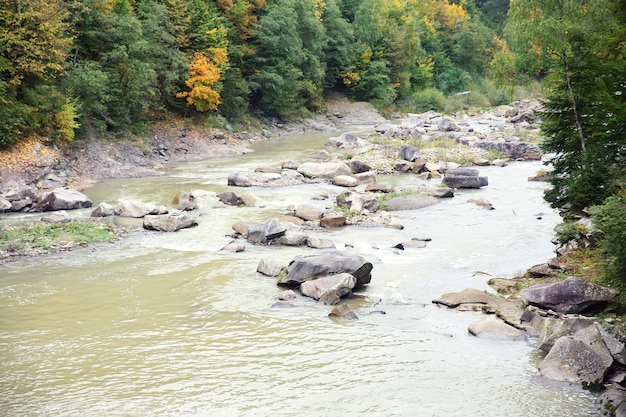 Río de montaña que fluye a través del bosque