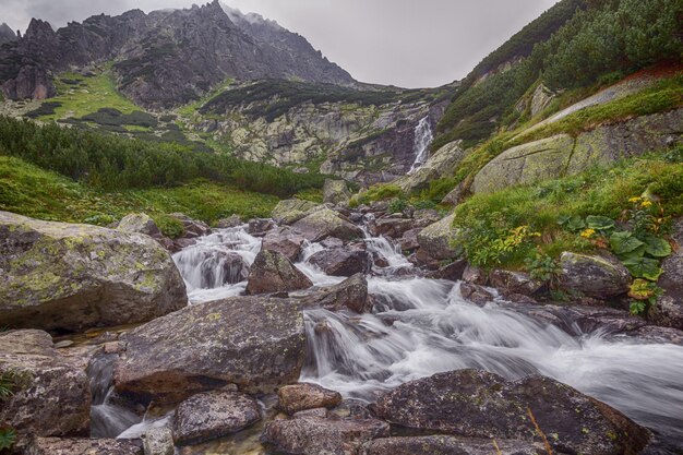 Río de montaña que fluye a través de las piedras.