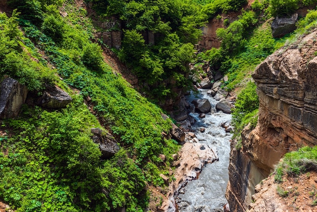 Río de montaña rápido en el desfiladero