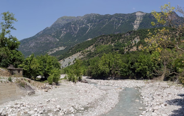 Río de montaña rápido en un día de verano