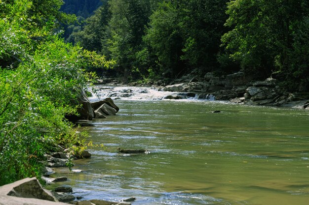 Río de montaña con rápidos y piedras grandes en un día soleado