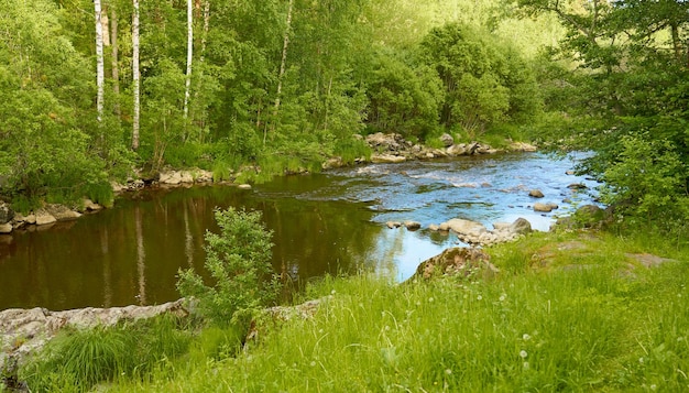 Un río de montaña entre rocas y bosques con un reflejo del cielo en el agua