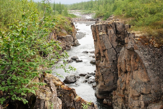 Río de montaña en las rocas