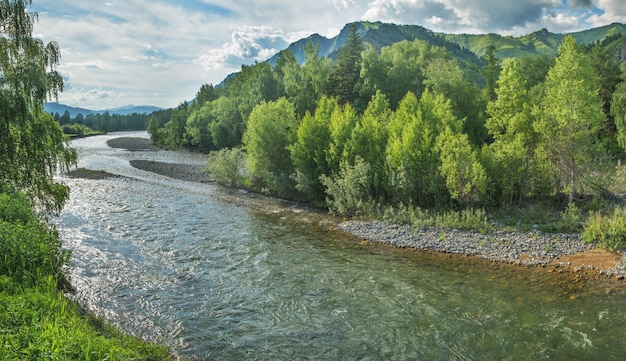 Río de montaña salvaje en un día de verano