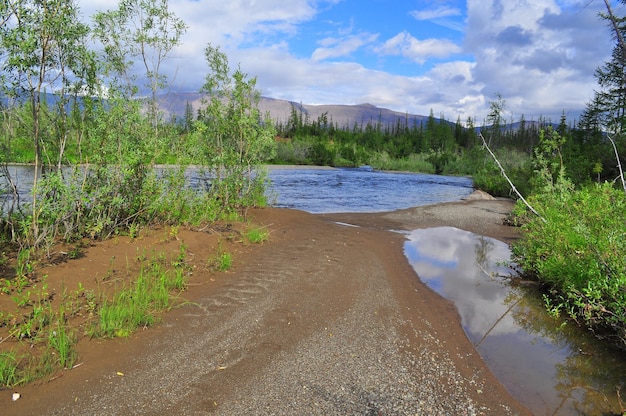 Río en montaña taiga