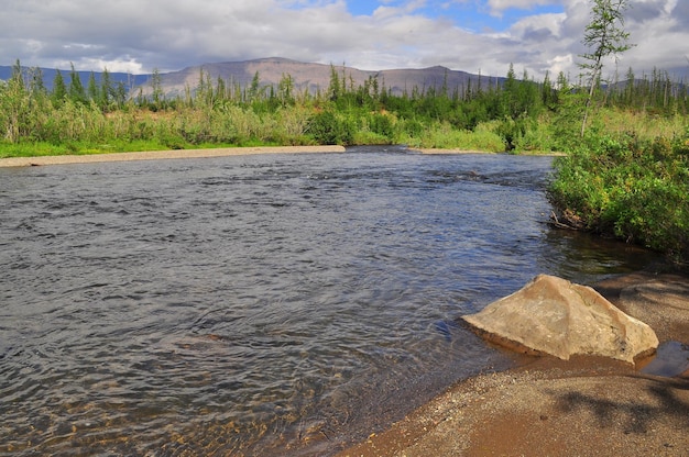 Río en montaña taiga