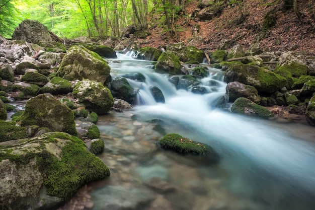 Río de montaña en terreno forestal y montañoso. Crimea, el Gran Cañón. Composición de la naturaleza.